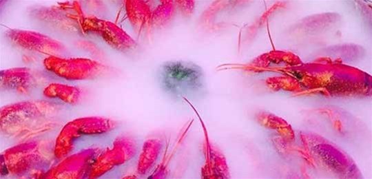 如何選擇山西高純氣體管道配管及附件材料？